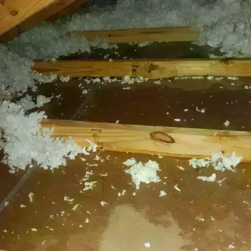 Attic Water Damage in Bridgeport, NE