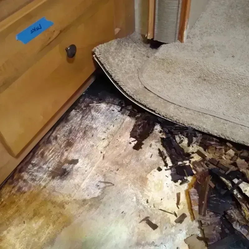 Wood Floor Water Damage in Bridgeport, NE